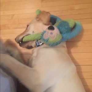 Meet your Posher, Jack